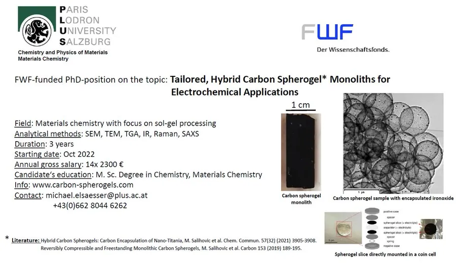 Open at the in Salzburg (Austria) on the novel hybrid (carbon-inorganic) spherogels: their synthesis and electrochemical