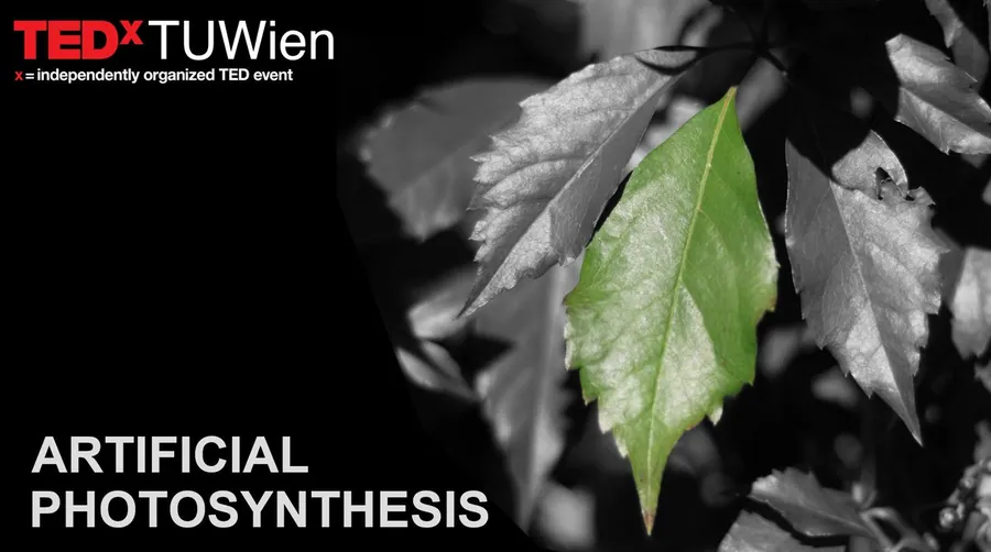 > 10.000 views of my TEDx Talk I would never have imagined that the topic of Artificial Photosynthesis would attract so